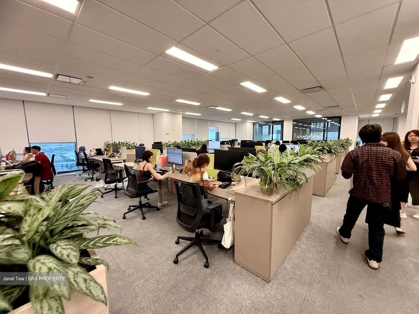 Capitasky (D1), Office #558438801
